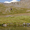 Elbrus 2008