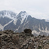 Elbrus 2008