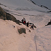 Palavicini 2009