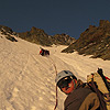 Palavicini 2009