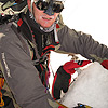 Palavicini 2009