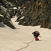 Palavicini 2009