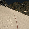 Palavicini 2009