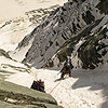 Palavicini 2009