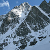 Palavicini 2009