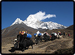 Ama Dablam 2010