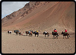 Aconcagua 2016